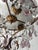 French Beaded Lavender and Clear Drops Flush Mount Chandelier For Sale - Image 4 of 8