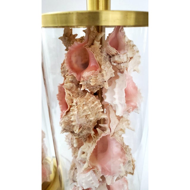 Lamps Signed Ralph Lauren Pair Shells Seashells Added For Sale - Image 12 of 18