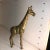 Vintage Mid-Century Modern Textured Brass Standing Giraffe For Sale - Image 4 of 8