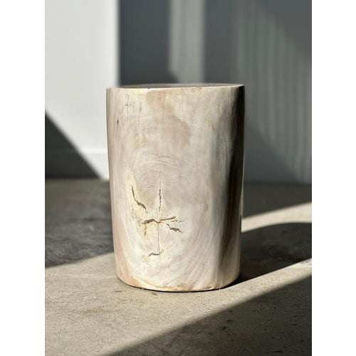 White Petrified Wood Side Table For Sale - Image 3 of 18