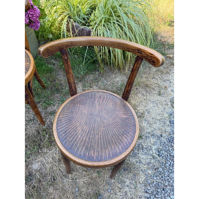Early 20th Century Early 20th Century Thonet Style Cafe Bistro Chairs - Set of 3 For Sale - Image 5 of 7