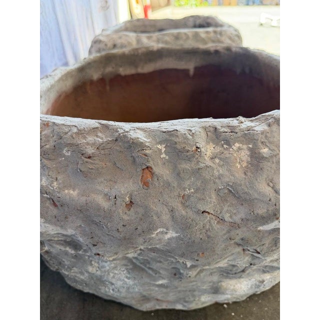 Pair of Rustic Style Terra Cotta Planters With Organic Form For Sale - Image 4 of 15