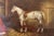 A. Ladd, White Horse, 20th Century, Oil on Board, Framed For Sale - Image 14 of 17