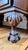 1920s Antique 1920s Chippendale Revival Carved Walnut Secretary Desk For Sale - Image 5 of 5