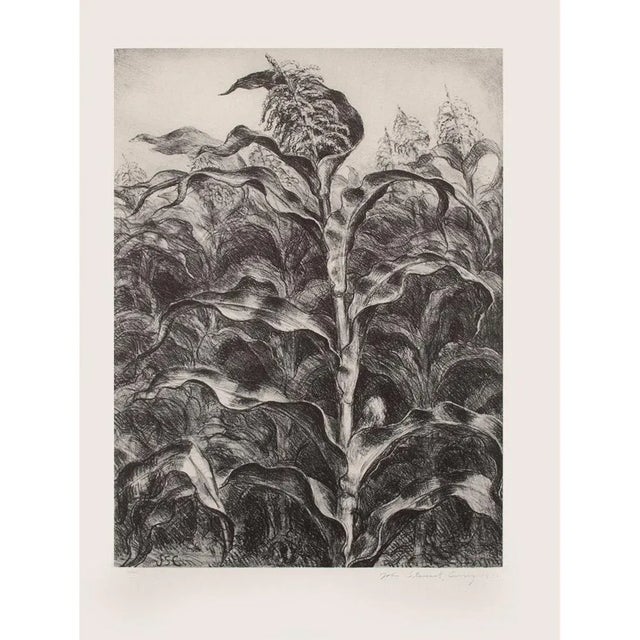 1939 After John S. Curry "Corn", First Edition Period Cottage Style Offset Lithograph For Sale - Image 9 of 11