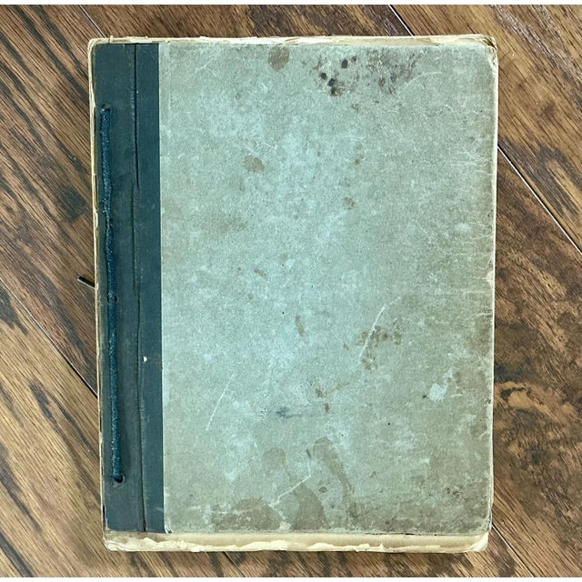 Gray Antique Botany Herbarium: 1900s Lab Notes & Drawings - Columbia City High School For Sale - Image 8 of 10