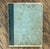 Gray Antique Botany Herbarium: 1900s Lab Notes & Drawings - Columbia City High School For Sale - Image 8 of 10
