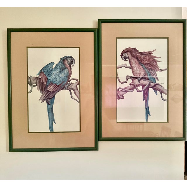 1980s Parrot Framed Prints by Paul Brent - Set of 2 For Sale - Image 11 of 12