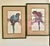 1980s Parrot Framed Prints by Paul Brent - Set of 2 For Sale - Image 11 of 12