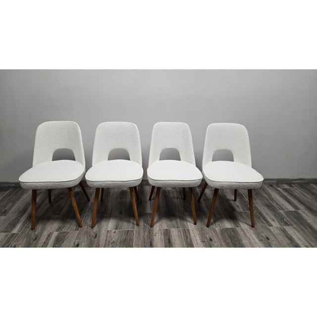White Dining Chairs by Oswald Haerdtl for Ton, 1950s, Set of 4 For Sale - Image 8 of 9