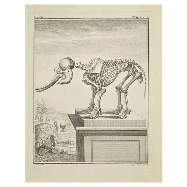 J.-B. Guélard, Skeleton, Etching, 1771 For Sale