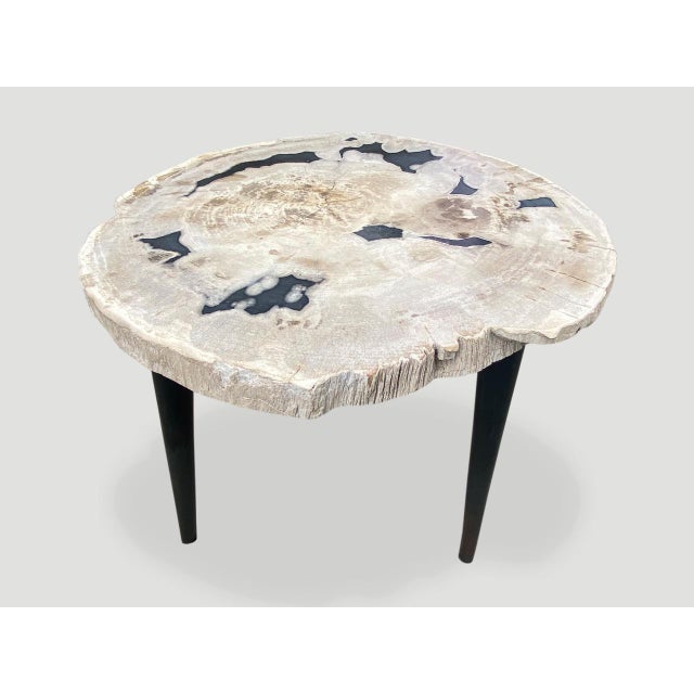 Contemporary Andrianna Shamaris Petrified Wood Slab Table with Steel Base For Sale - Image 3 of 18