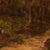 Théodore Gardère, Landscape of Dordogne, 19th Century, Oil Painting on Canvas, Framed For Sale - Image 9 of 11