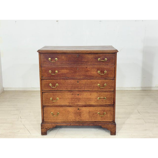 Mahogany Chest of Drawers, 1900 For Sale - Image 15 of 15