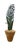 2000 - 2009 Tommy Mitchell Tole Potted Hyacinth For Sale - Image 5 of 11