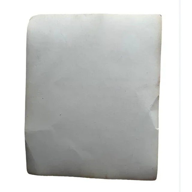 Found at Brimfield! 8X9.5” matte finish photo This photo is a great historical representation of trick-or-treat in America...