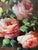 Peter Brooks, Still Life of a Vase of Pink Roses, 1960s, Oil on Canvas For Sale - Image 3 of 13