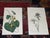 Realism Authentic Antique Early 19th Century Hand Colored Copperplate Botanical Engravings - Set of 12 For Sale - Image 3 of 7