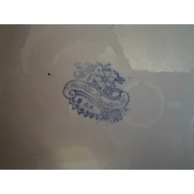 19th Century Asiatic Pheasant Platter For Sale - Image 13 of 17