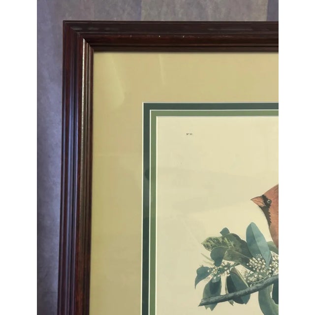 Mid 20th Century Vintage Audubon Society Cardinal & Grosbeak Framed Print - 24x29 Bird Art For Sale - Image 5 of 12