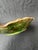 Antique Majolica Leaf Bowl For Sale - Image 14 of 15