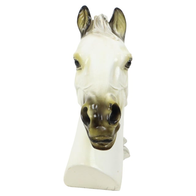 Large Classical Greek Style Parthenon Horse Bust in Plaster For Sale - Image 3 of 17