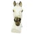 Large Classical Greek Style Parthenon Horse Bust in Plaster For Sale - Image 3 of 17