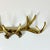 Late 20th Century Vintage Rustic Adirondack Arts & Crafts Faux Antler Wall Mounted Hooks. For Sale - Image 5 of 11