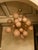 Metal Mid-Century Pastel Pink Murano Glass Sputnik Chandelier, 2000 For Sale - Image 7 of 11