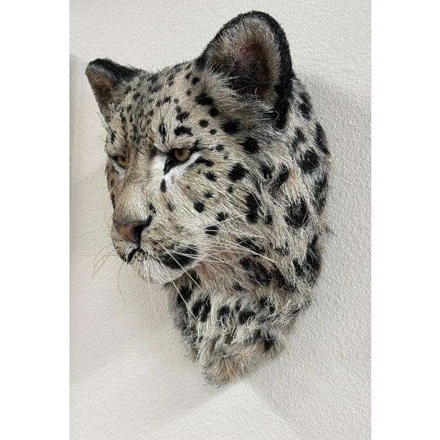 Anne Andersson Sisal Fiber Snow Leopard 2006 For Sale - Image 4 of 12