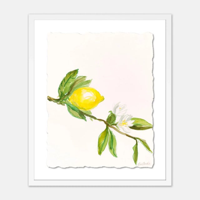 Lia Burke Libaire Lemon by Lia Burke Libaire in White Frame, Small Art Print For Sale - Image 4 of 4