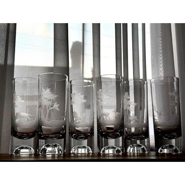Bohemian Etched Crystal Highball Glasses, Set of 6 For Sale - Image 10 of 13
