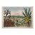 Tenerife Canary Island Tropical Etching With Hand Coloring For Sale