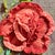 Handmade 3d Rose Flower Embroidery Wall Art For Sale - Image 4 of 13