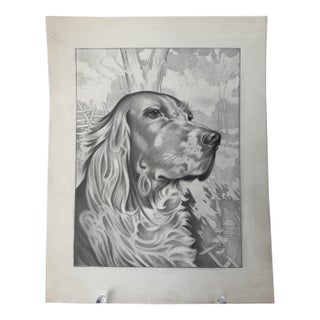 Original Signed Graphite Illustration of English Setter Portrait, 12.5 × 10 In. For Sale