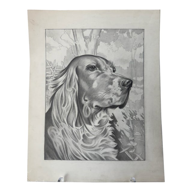 Original Signed Graphite Illustration of English Setter Portrait, 12.5 × 10 In. For Sale
