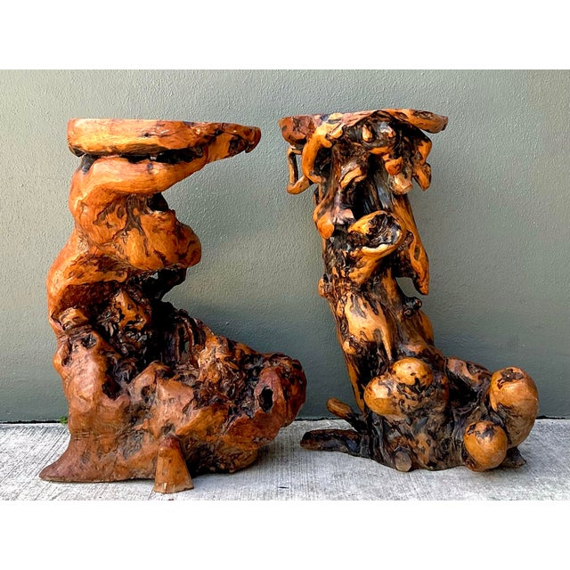Vintage Japanese Twisted Root Pedestals - Set of Two For Sale - Image 10 of 12