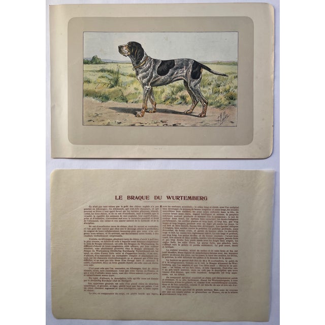 This handsome photogravure printed page is illustrated by P. Mahler, a German artist. The subject is a Le Braque Du...