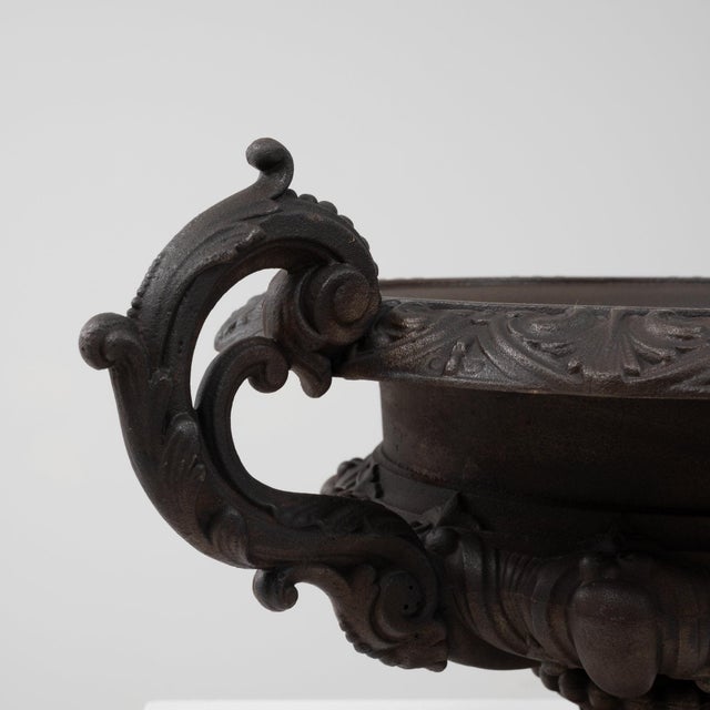 French 19th Century France Black Iron Planter For Sale - Image 3 of 8