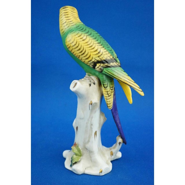 Porcelain Sculpture of Parrot Figurine by Real Casa Ferdinandea or Ginori Doccia, Italy, 1700s-1800s For Sale - Image 4 of 18
