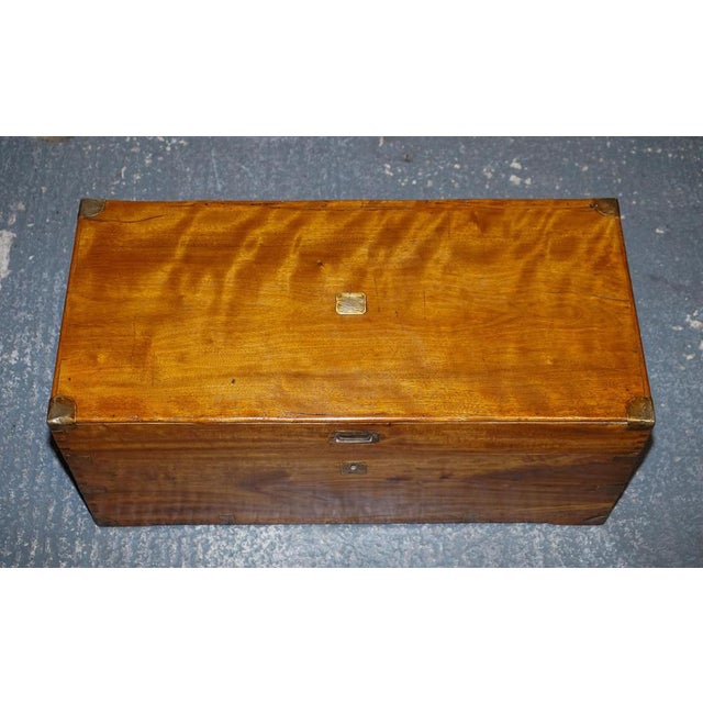 Brown Antique English Camphor Wood Storage Trunk, 19th Century For Sale - Image 8 of 18