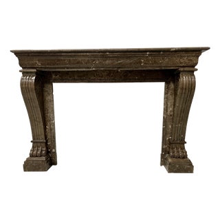 Napoleon III Fireplace with Claw Feet in Speckled Marble, 1800s For Sale