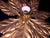 Mid-Century Modern Florentine Gold-Plated Ceiling Light by Hans Kögl, 1960s For Sale - Image 6 of 9