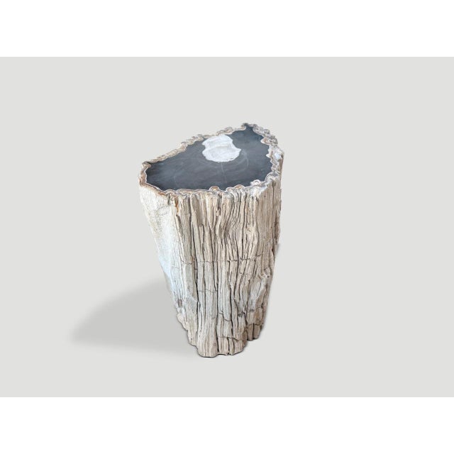 Andrianna Shamaris Abstract High Quality Petrified Wood Side Table For Sale - Image 16 of 18