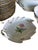 Porcelain Plate Set with Floral Decoration from Meissen Porcelain, 1990s For Sale - Image 3 of 15