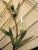 Curtis Jere Curtis Jere Signed Decorative Metal Fan Circa 1987 For Sale - Image 4 of 8