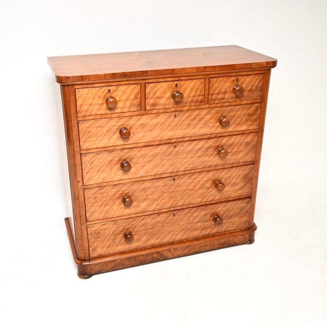 Large Antique Victorian Satin Wood Chest of Drawers, 1840 For Sale - Image 10 of 10