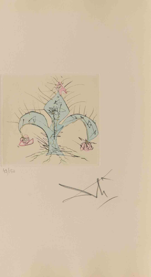 Salvador Dali, Fleur en Lys, Etching, 1960s