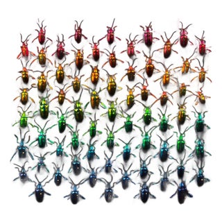 Refractions by Hasharat For Sale