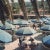 Outdoor Dining (1956) Limited Estate Stamped - Giant (Photo by Slim Aarons) Diners at an outdoor restaurant, San Diego,...